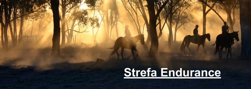 strefa endurance