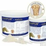 Calcin - wapń EQUIPUR